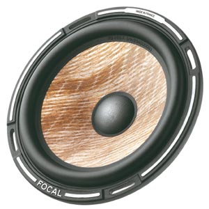 focal flax cone